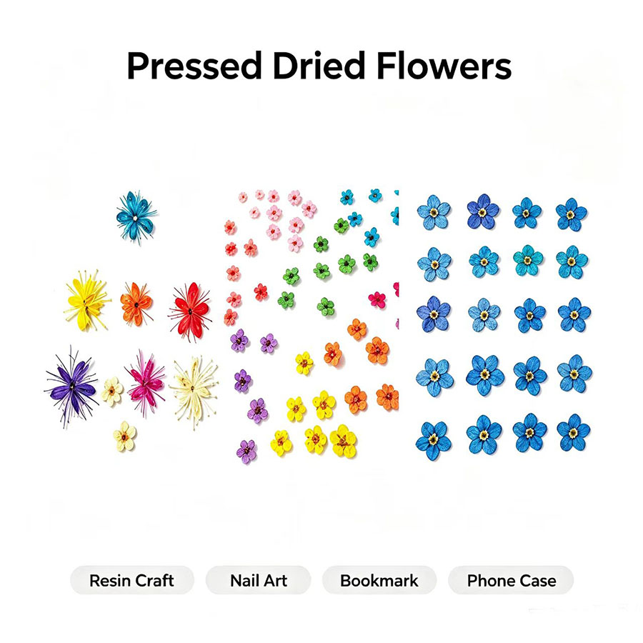 60pcs Mini Pressed Dried Flowe - Resin Art Baby ulasan dan harga